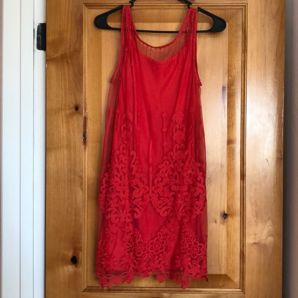 Free People: Mesh / Embroidered Dress